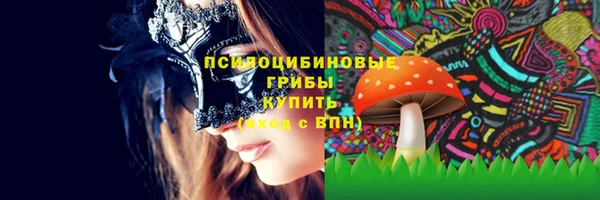 метадон Армянск