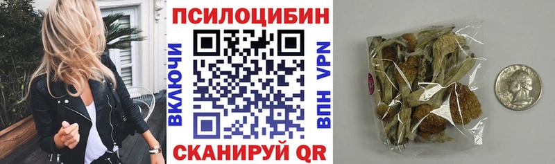 kraken онион Протвино Псилоцибиновые грибы Psilocybe