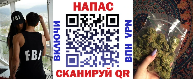 Конопля гибрид  Протвино 